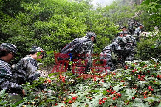 北京军训：北京西点劲旅学员军训有感分享